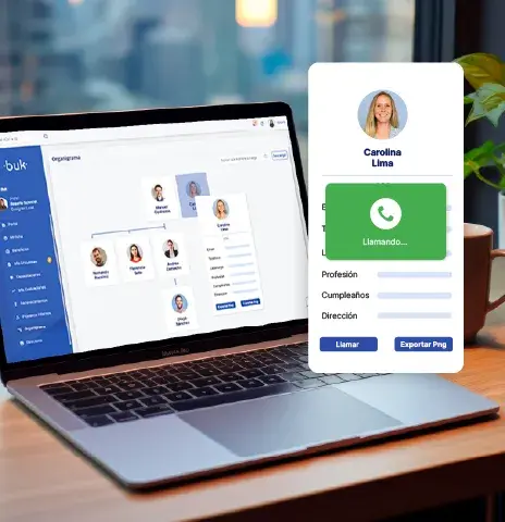 estructura-organizacional